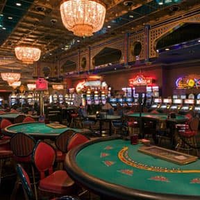 24 erek team working in office environment with multiple monitors displaying live casino and sportsbook feeds